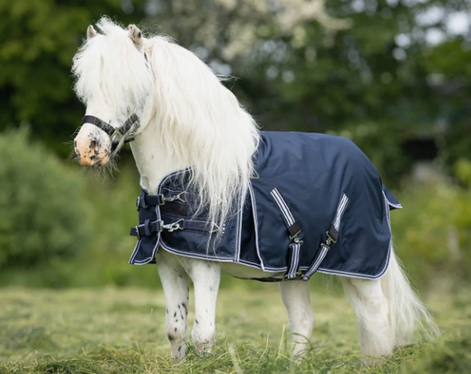 COPERTA  PADDOCK PONY-SHETTY 200 GR. Paddock Medium 